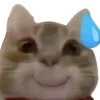 😅 Эмодзи «cats dogs» для Telegram