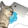 😭 Эмодзи «cats dogs» для Telegram