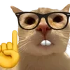 🤓 Эмодзи «cats dogs» для Telegram