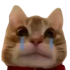 😭 Эмодзи «cats dogs» для Telegram
