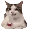 🗡️ Эмодзи «cats dogs» для Telegram