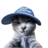 🧢 Эмодзи «cats dogs» для Telegram