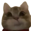 😕 Эмодзи «cats dogs» для Telegram