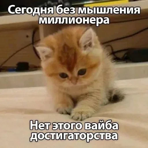 🤐 Стикер «kitties» для Telegram