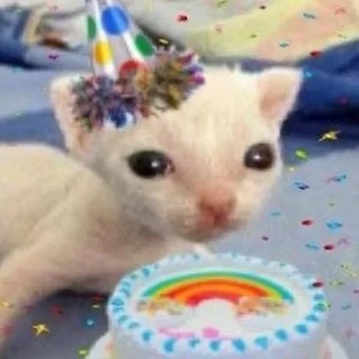 🥳 Стикер «kitties» для Telegram