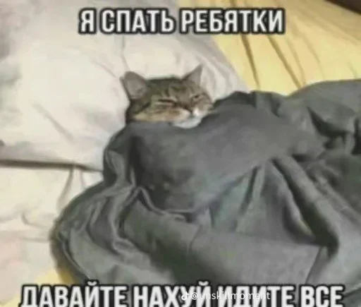 🤩 Стикер «kitties» для Telegram
