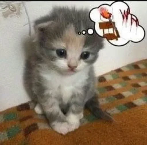 😕 Стикер «kitties» для Telegram