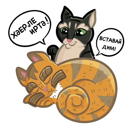 🥱 Стикер «Коты казанские Алабрыс и Мырау батыр» для Telegram
