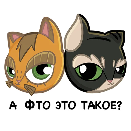 ❓ Стикер «Коты казанские Алабрыс и Мырау батыр» для Telegram