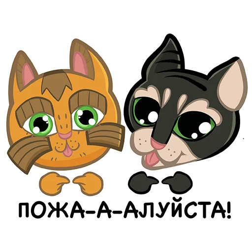 🙏 Стикер «Коты казанские Алабрыс и Мырау батыр» для Telegram