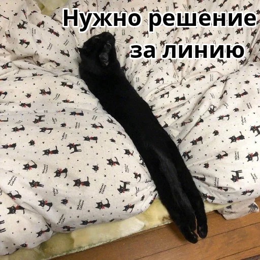 〰️ Стикер «Котики ревьюверы» для Telegram