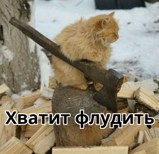 🪓 Стикер «Котики ревьюверы» для Telegram