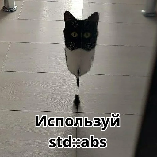🖇 Стикер «Котики ревьюверы» для Telegram