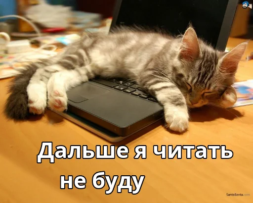 ✋ Стикер «Котики ревьюверы» для Telegram