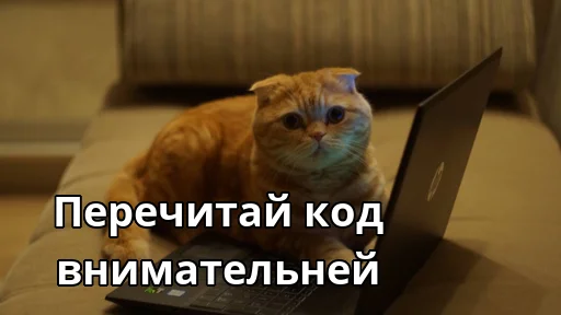 🔍 Стикер «Котики ревьюверы» для Telegram