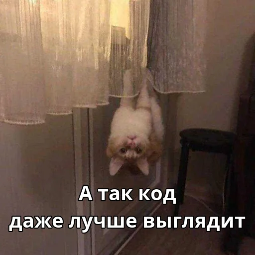 🙃 Стикер «Котики ревьюверы» для Telegram