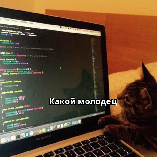 Стикерпак Котики ревьюверы для Telegram — скачать