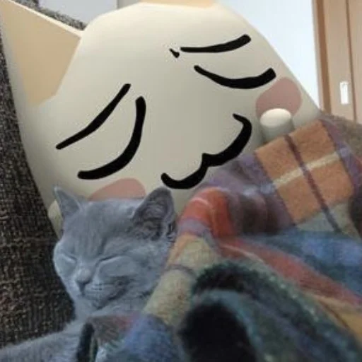 🐱 Стикер «Toro» для Telegram