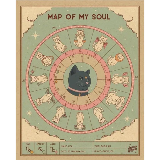 ✨ Стикер «Cats Vision» для Telegram