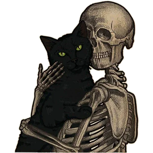✨ Стикер «Cats Vision» для Telegram