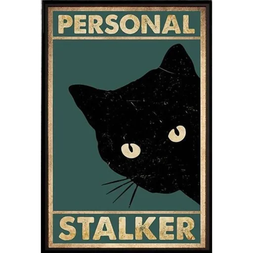 ✨ Стикер «Cats Vision» для Telegram