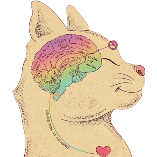 ✨ Стикер «Cats Vision» для Telegram