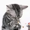 🌟 Эмодзи «kittens» для Telegram