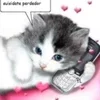 🌟 Эмодзи «kittens» для Telegram