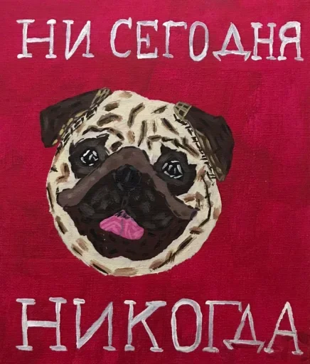 🙃 Стикер «Cats against Dogs» для Telegram