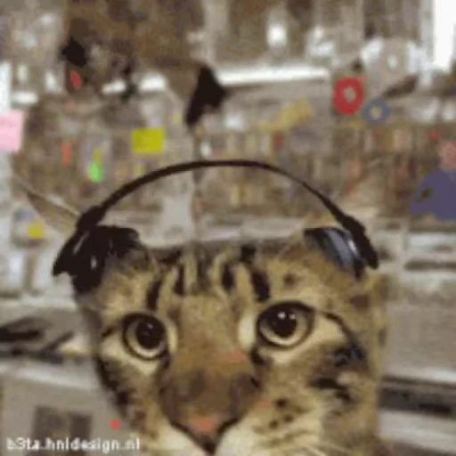 🎧 Стикер «Cats Animation» для Telegram
