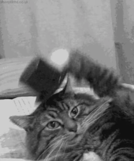 👋 Стикер «Cats Animation» для Telegram