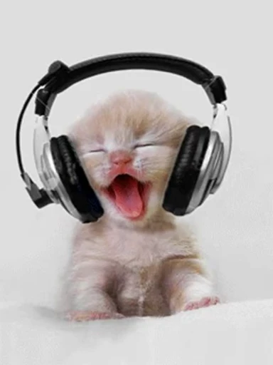😀 Стикер «Cats Animation» для Telegram