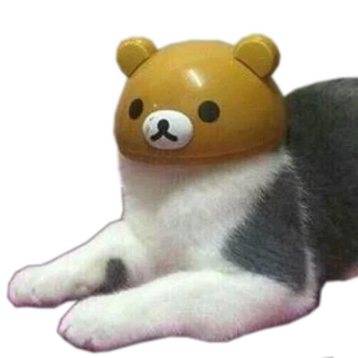 🐻 Стикер «cats cats cats!» для Telegram
