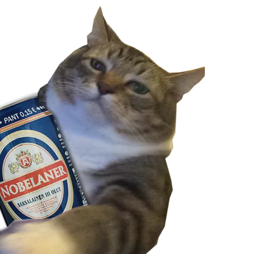 🍺 Стикер «cats cats cats!» для Telegram