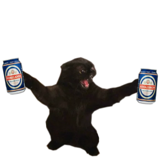 🍺 Стикер «cats cats cats!» для Telegram