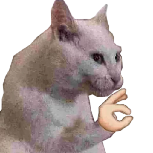 👌 Стикер «cats cats cats!» для Telegram