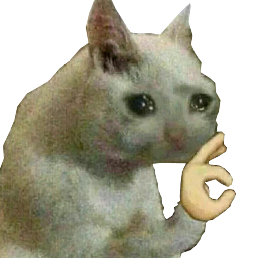 👌 Стикер «cats cats cats!» для Telegram