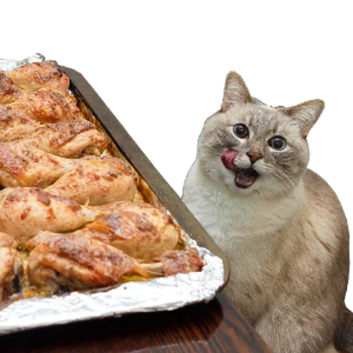 🍗 Стикер «cats cats cats!» для Telegram
