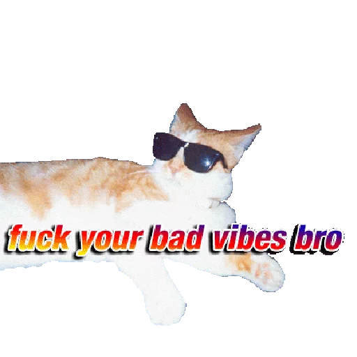 😎 Стикер «cats cats cats!» для Telegram