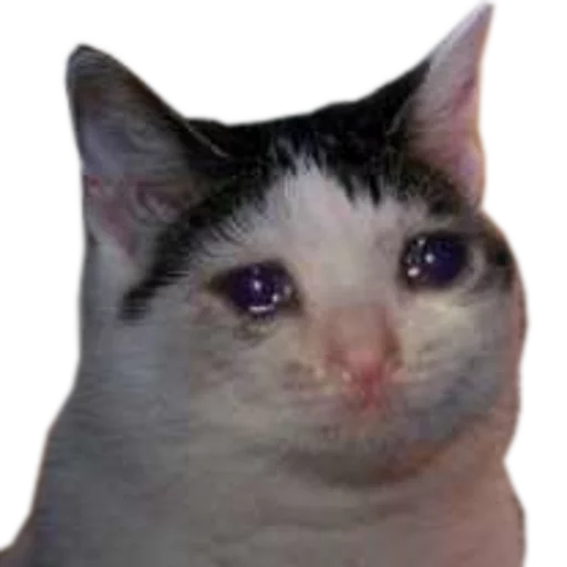 🍆 Стикер «cats cats cats!» для Telegram