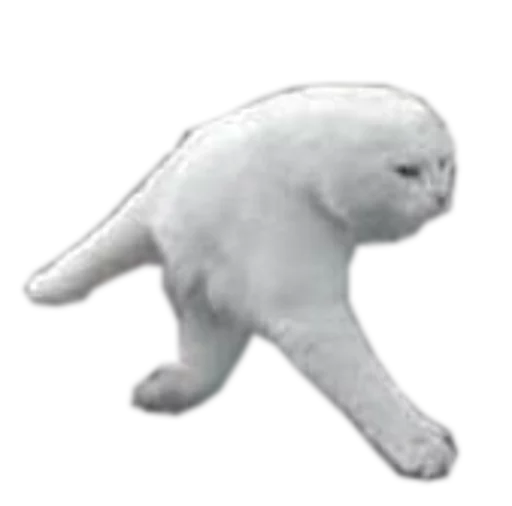 🍆 Стикер «cats cats cats!» для Telegram