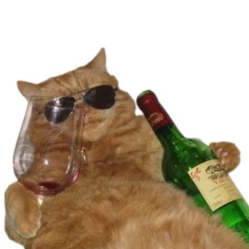 🍷 Стикер «cats cats cats!» для Telegram