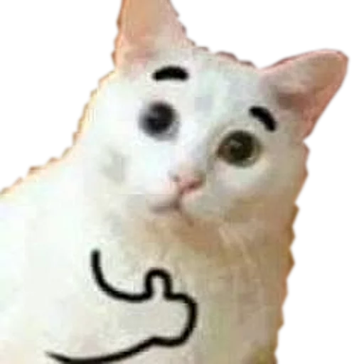 👍 Стикер «cats cats cats!» для Telegram