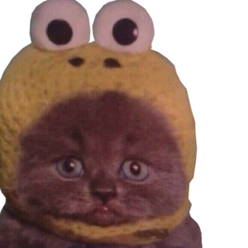 🐸 Стикер «cats cats cats!» для Telegram