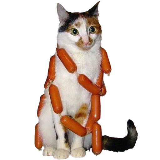 🌭 Стикер «cats cats cats!» для Telegram