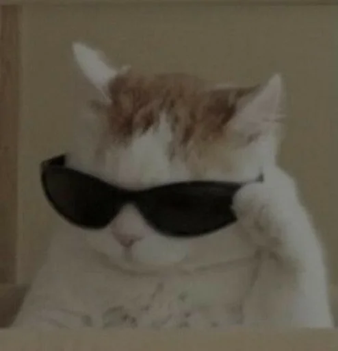 ✨ Стикер «cats mood» для Telegram