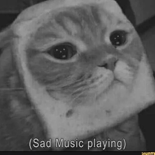 ✨ Стикер «cats mood» для Telegram