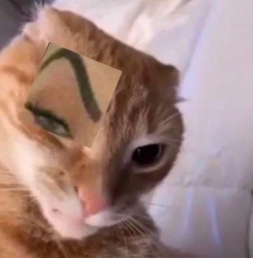 ✨ Стикер «cats mood» для Telegram