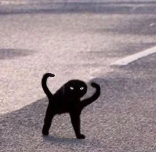 ✨ Стикер «cats mood» для Telegram