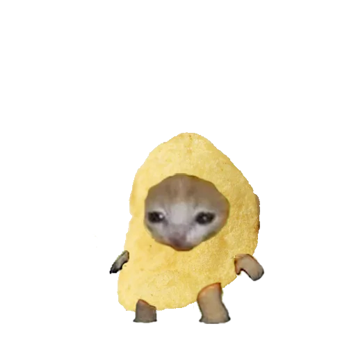 🥔 Стикер «котики напитки» для Telegram